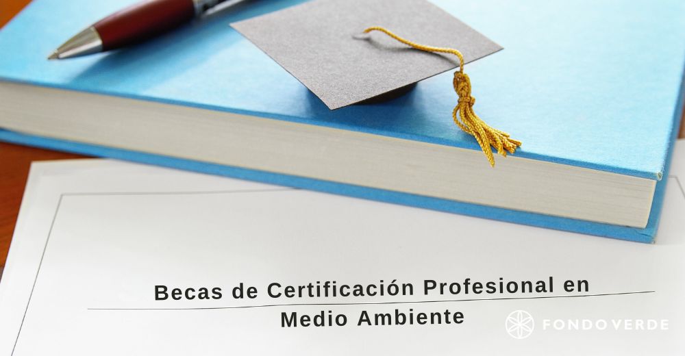 Fondo Verde otorga tres nuevas becas de certificación profesional en medio ambiente