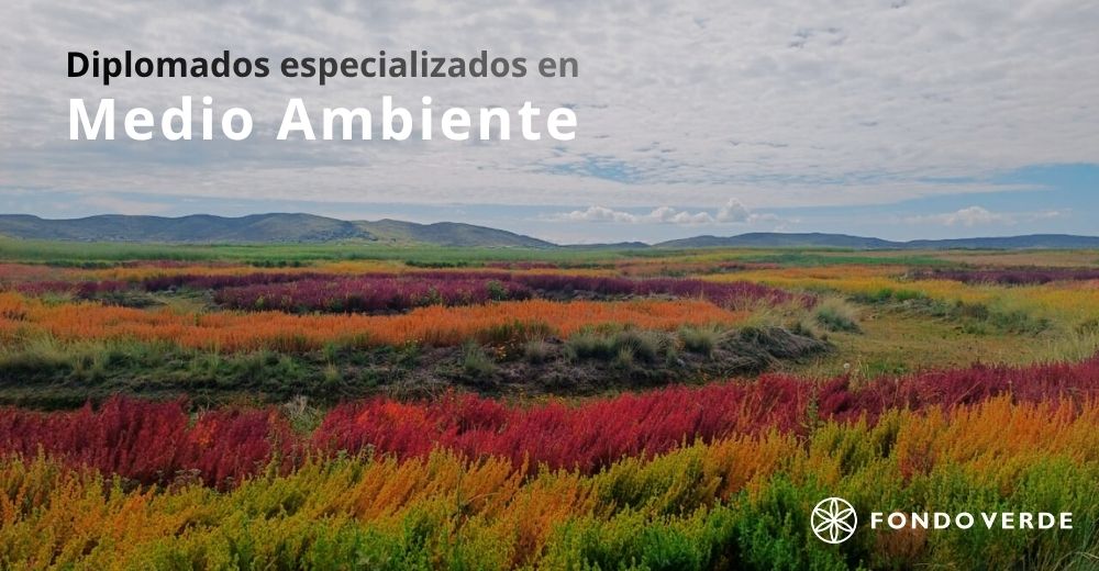 Banner sobre la Alianza Fondo Verde y URPIA: Gestión Sostenible Indígena