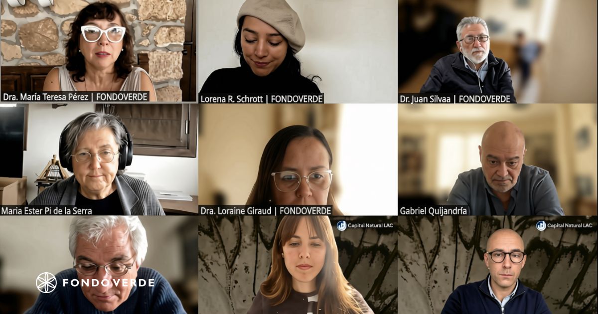 Noveno Academy: Liderazgo para la sostenibilidad