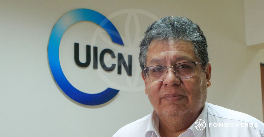 Braulio Buendía: «Tuve la oportunidad de escalar mi experiencia profesional»